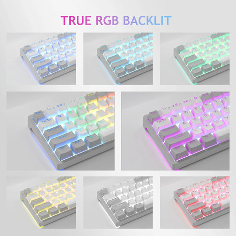 AULA RGB 60 Percent Wired Gaming Mechanical Keyboard Mini Compact USB Hot-Swappable Keyboards with Brown Switches for PC Laptop